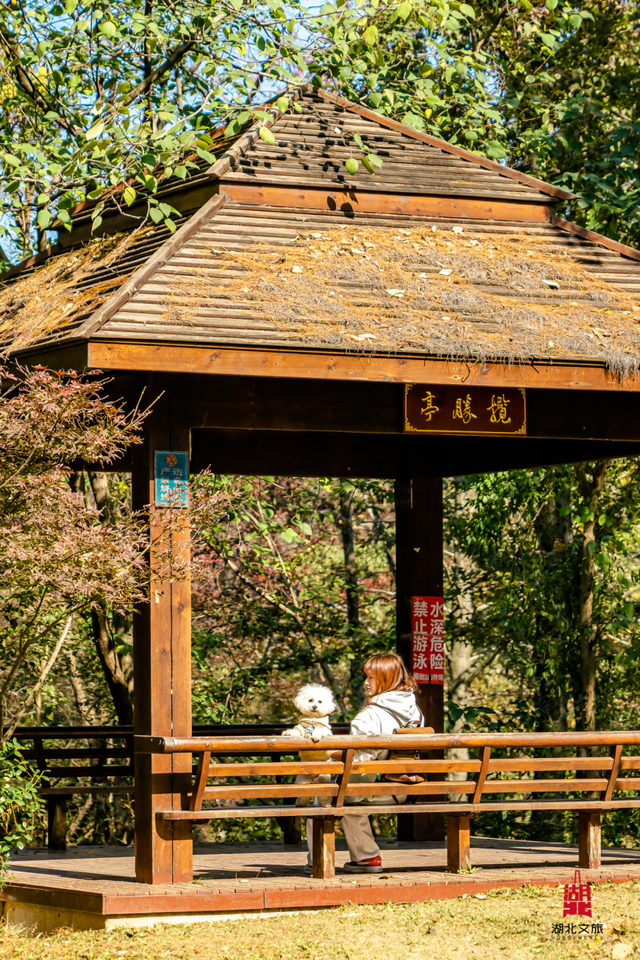 抓住晴天尾巴，徒步青龙山！