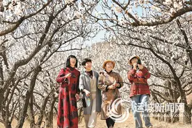 万荣县皇甫乡第八届袁家杏花文化旅游节开幕图片