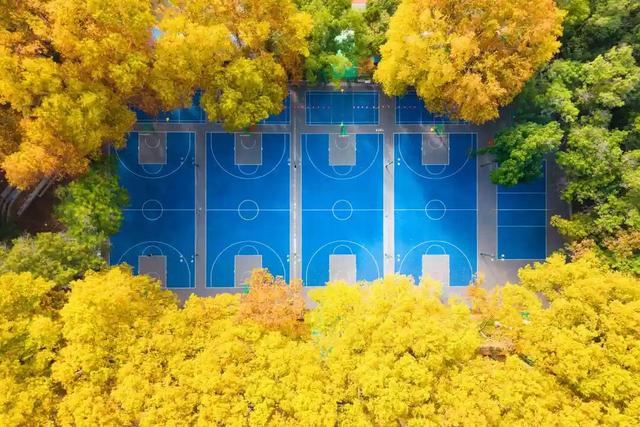 最好的秋天，在华师！