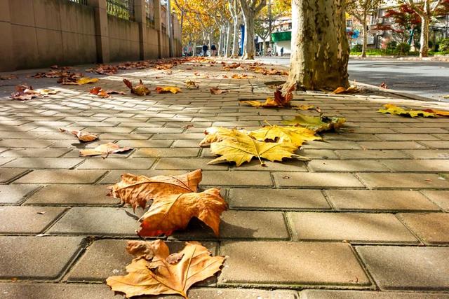 秋冬限定的普陀，美到让人流连忘返，你还不来打卡吗？