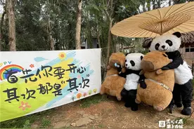 国庆节来云南野生动物园让“国宝抱抱”图片
