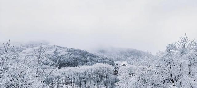 此刻，武汉真的下雪了！