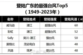 今天登陆！风力17级或以上！广东多地停课停运停航，未来天气……图片