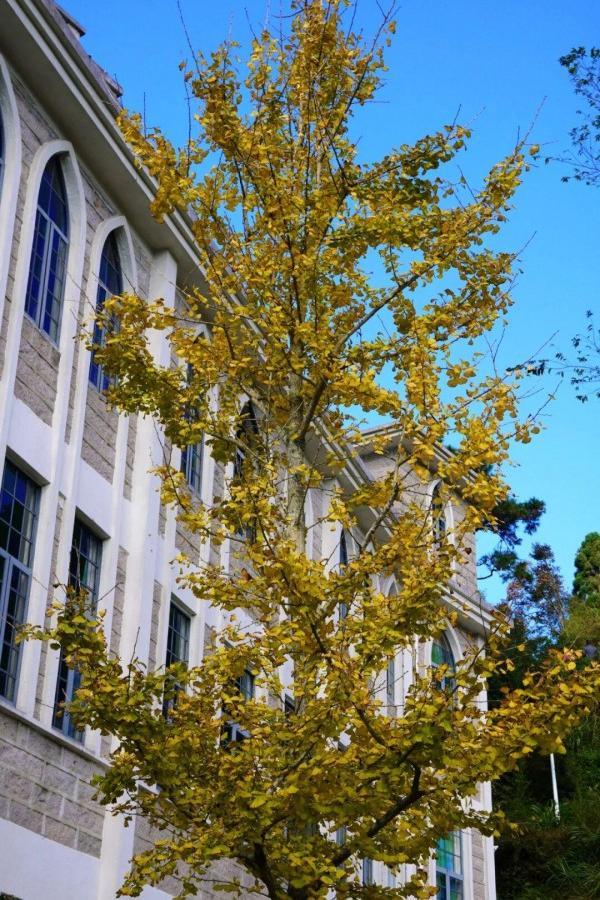 醉美秋色！福州鼓岭迎来“颜值巅峰”期！