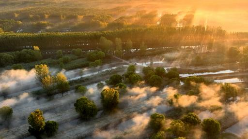 济宁冬季赏叶天花板，错过等一年的绝美景色