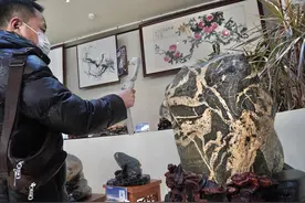 170件泰山石精品亮相中山公园图片