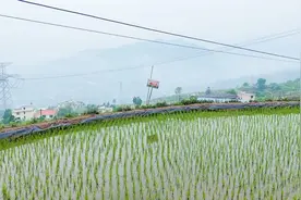 发挥品牌特色 古蔺一村子里建起了大米加工厂图片