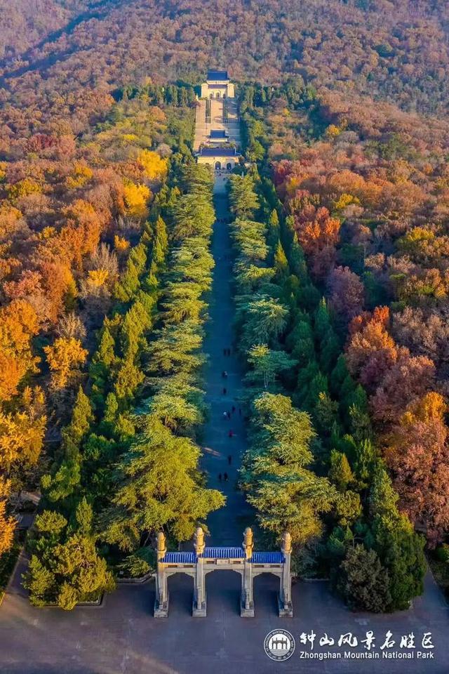 没来过紫金山，就不算看过南京的秋