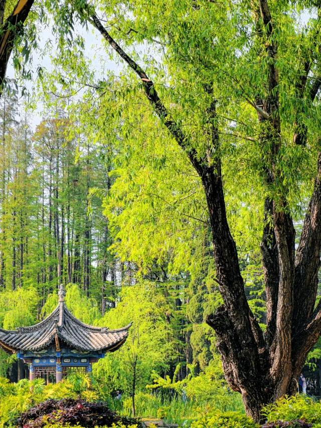 来西山区这些宝藏公园,感受治愈秋色