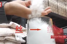 羽绒制品“以丝代绒”造假被曝光，专家教你如何辨别真伪优劣图片