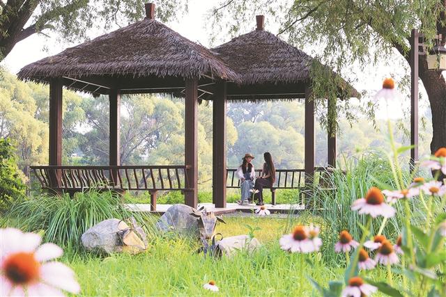 山海相依 点绿成金——秦皇岛市北戴河区持续推动生态优势多方转化