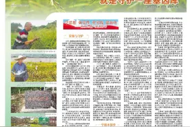 深读丨守护一株野生稻就是守护一座基因库图片