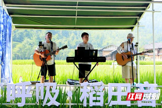 黄龙洞清凉游升温 中外游客乐享避暑度假新体验