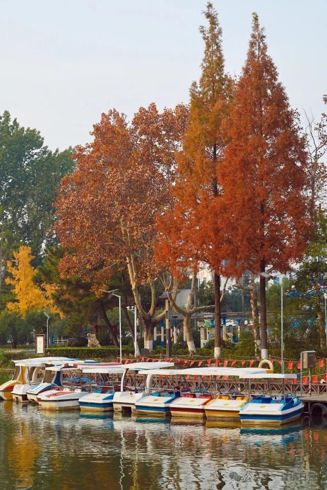 一分钟！我要知道日照这里的所有信息→