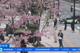 日本东京出现异常暖冬天气 部分樱花提前绽放图片