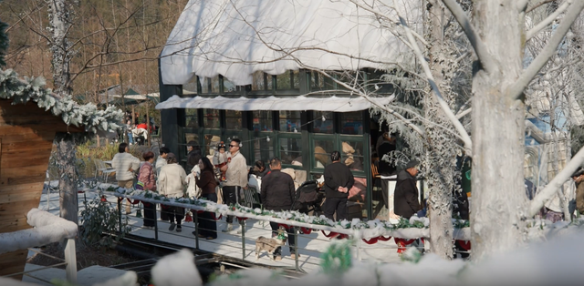 “南国雪乡”出圈！浙江冰雪经济点燃长三角冬日激情