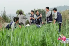 快乐春耕，好事“花”生 四川长宁中学组织学生下地种花生图片