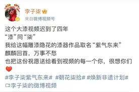 李子柒复出，前公司回应：目前李子柒品牌产品都由微念经营图片