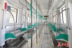 江豚“跃”出座位，武汉地铁19号线列车首次亮相图片