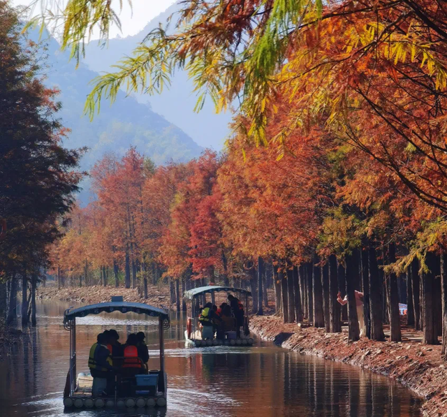 中国国家地理推介！宣城这里，将迎最美时刻！