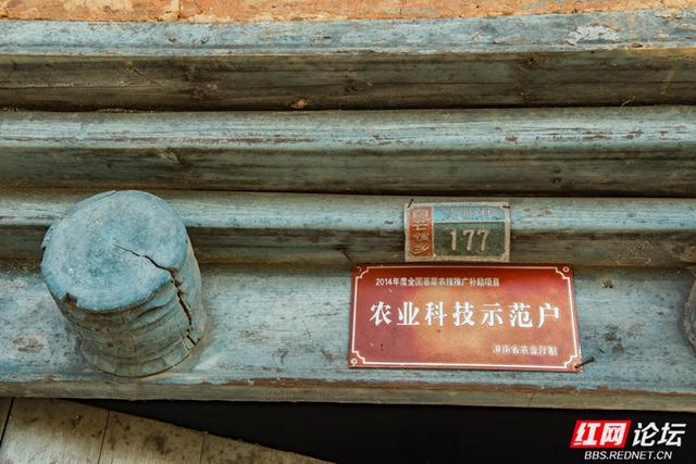秋游时刻丨镜头下的道县旧村：一场与时光的邂逅