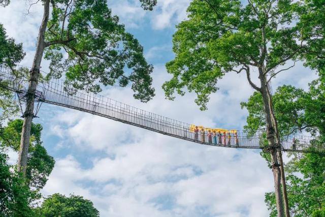 开屏策划｜今日重阳，来云南解锁不一样的“仪式感”