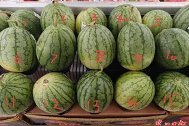 AI帮你挑瓜，“保熟”？他们这样说图片