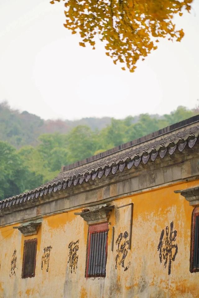 接下来的镇江是这样的！