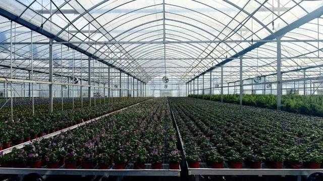 现代农业与田园风光交织，金山推出周末休闲新路线