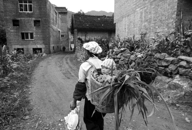 边境上的那一片玉米地