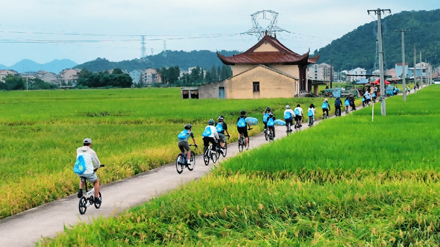 错过要等一年！椒江这片稻田封神了