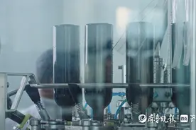 新春走基层｜山农大团队科技赋能，乐陵小枣身价实现“三级跳”图片