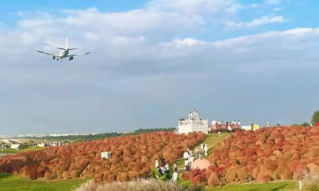 肥肠粉必须配军屯锅魁·····这对CP太好磕