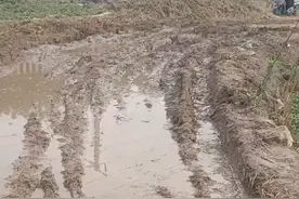 东平县彭集街道：道路坑洼出行难，接诉即办解民忧图片