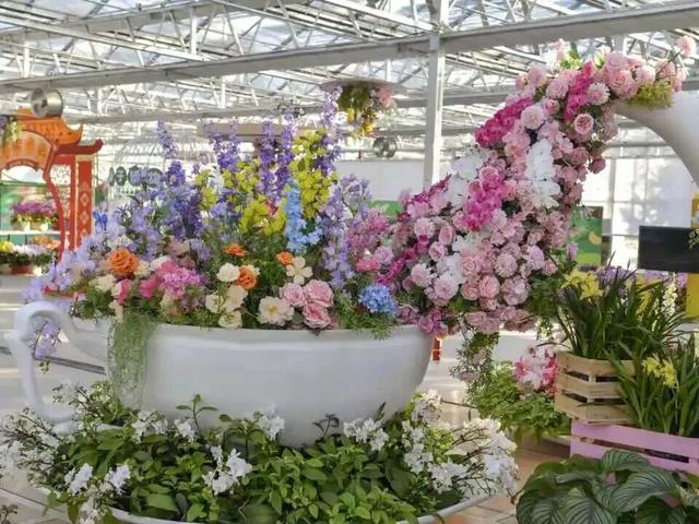 家庭园艺嘉年华｜北京兰花文化嘉年华将于明日启幕