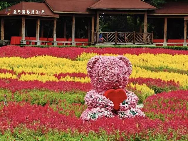 主客共享，城景相融：集美“文旅热”的背后