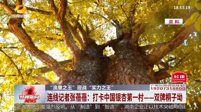 湖南经视记者现场连线双牌桐子坳、青龙岩景区