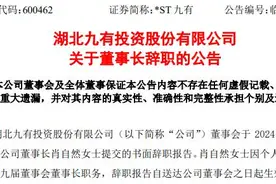 A股又现"95后"掌门人！图片
