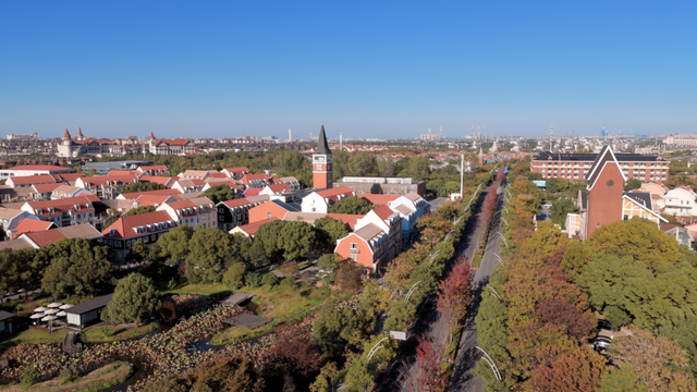 别眨眼！罗店马路秋色，一街一帧画正在限时上映