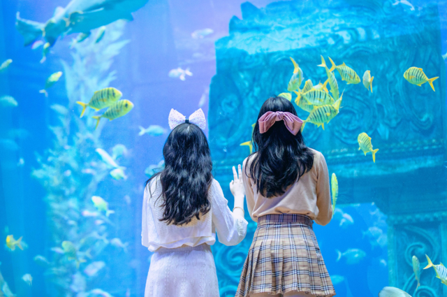 桂林融创乐园海世界，这样玩！