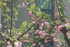 你有一双慧眼——写给开封王婆的歌词图片