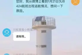 客机引擎喷火返航盘旋近2小时！川航回应图片