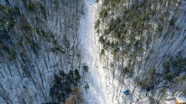 这个冬天，别再“猫冬”啦！300米超长滑道，来这开启嬉冰赏景的雪上之旅