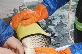 钓一条鱼奖五千元！柳州兴起这种钓鱼玩法，多地已打击图片