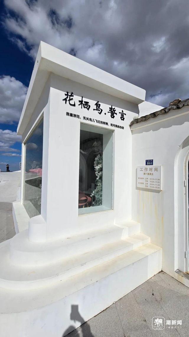 美丽农村路 | 一路通向山海与爱，花鸟岛这条“爱情天路”让孤岛变桃源