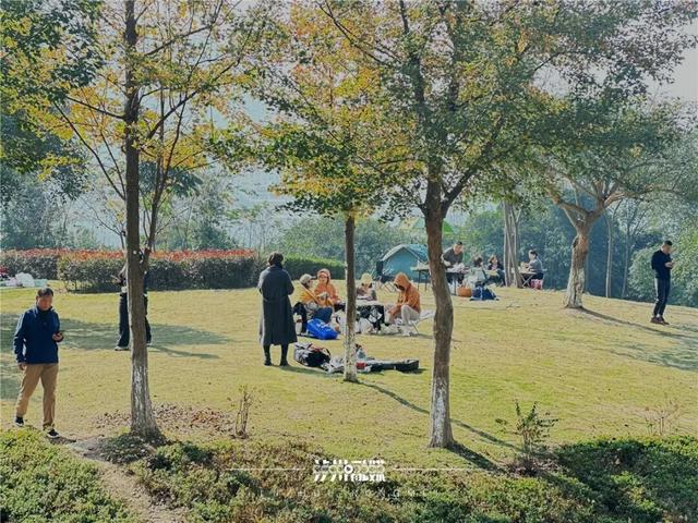 【转发】最高19℃，本周末泸州好天气持续！晒太阳地图来了