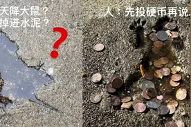 水泥地被老鼠砸出个坑，竟成网红打卡点，甚至还有人投币……图片