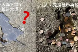 水泥地被老鼠砸出个坑，竟成网红打卡点，甚至还有人投币……图片