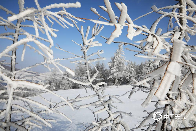 雪景上线！河北草原天路迎降雪 游客滑雪打卡乐享其中