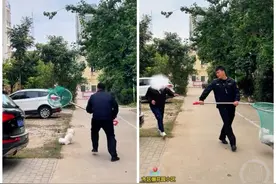 安徽亳州城管抓捕公共区域未牵绳狗，城管局：只是一个区的行动图片